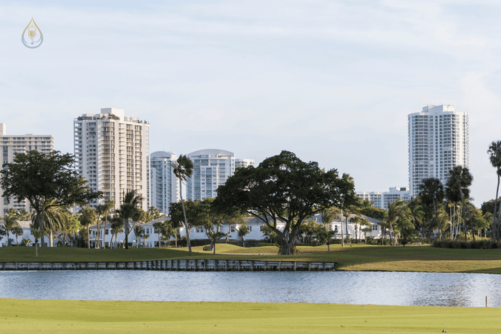IV Therapy in Aventura: Concierge Wellness Delivered to Your Door