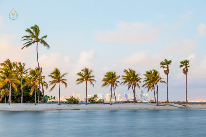 Why You're Always Exhausted in May: The South Florida Summer Drain Nobody Talks About